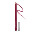 Palladio Delineador Labial Pink Frost 0.9 Grs