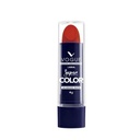 VOGUE LABIAL BARRA MATE SUPER COLOR AUTENTICA 4 GRS